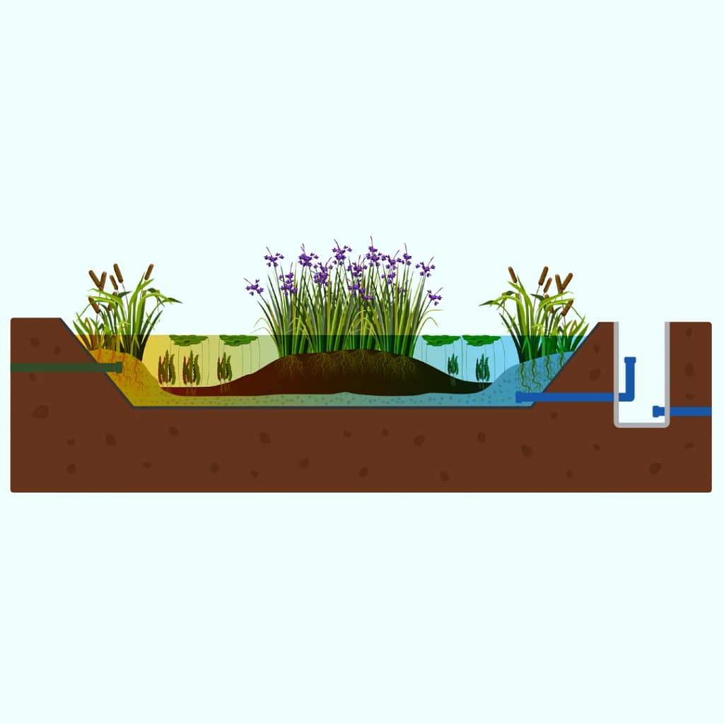 Flowchart biocanvas
